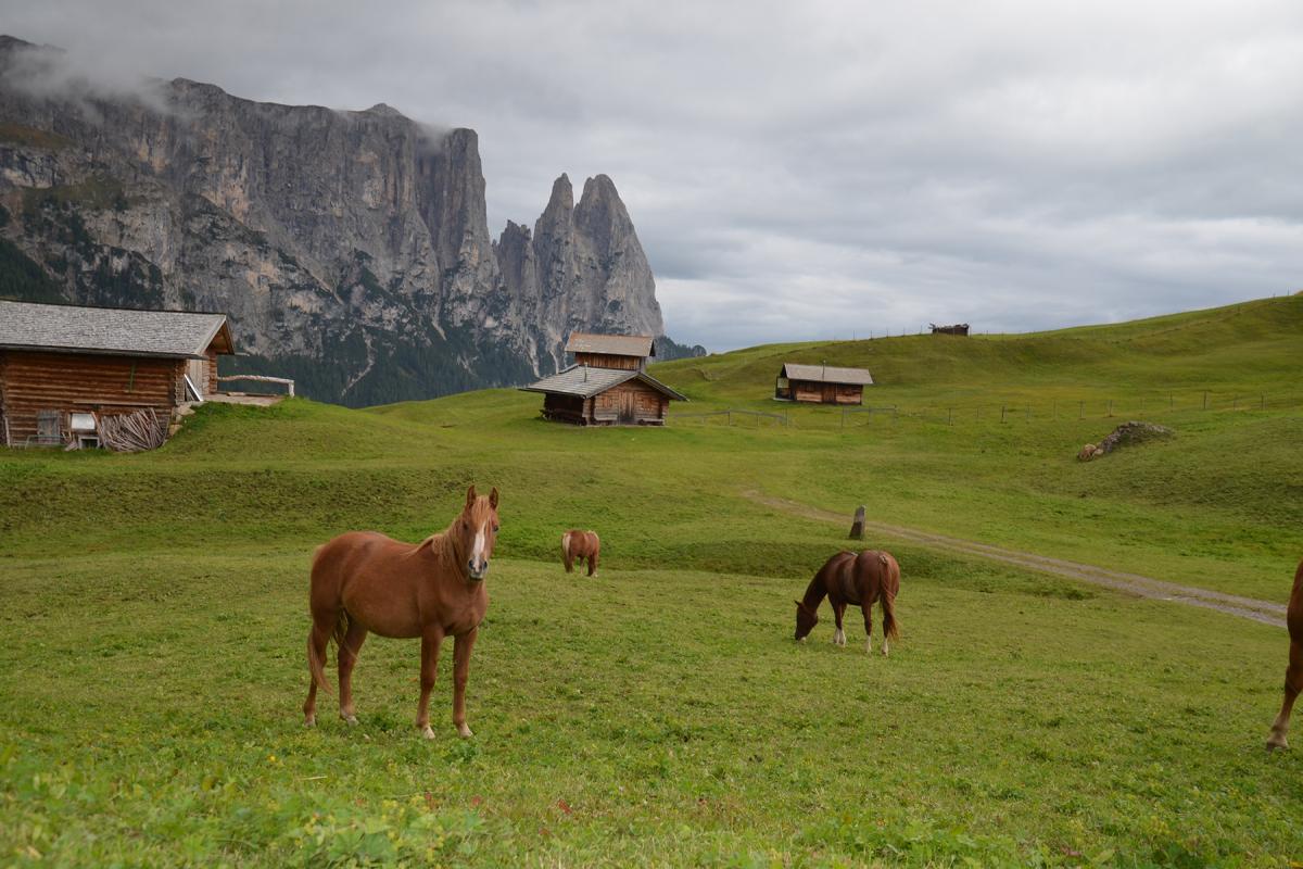 Seiser Alm 16.09.2015